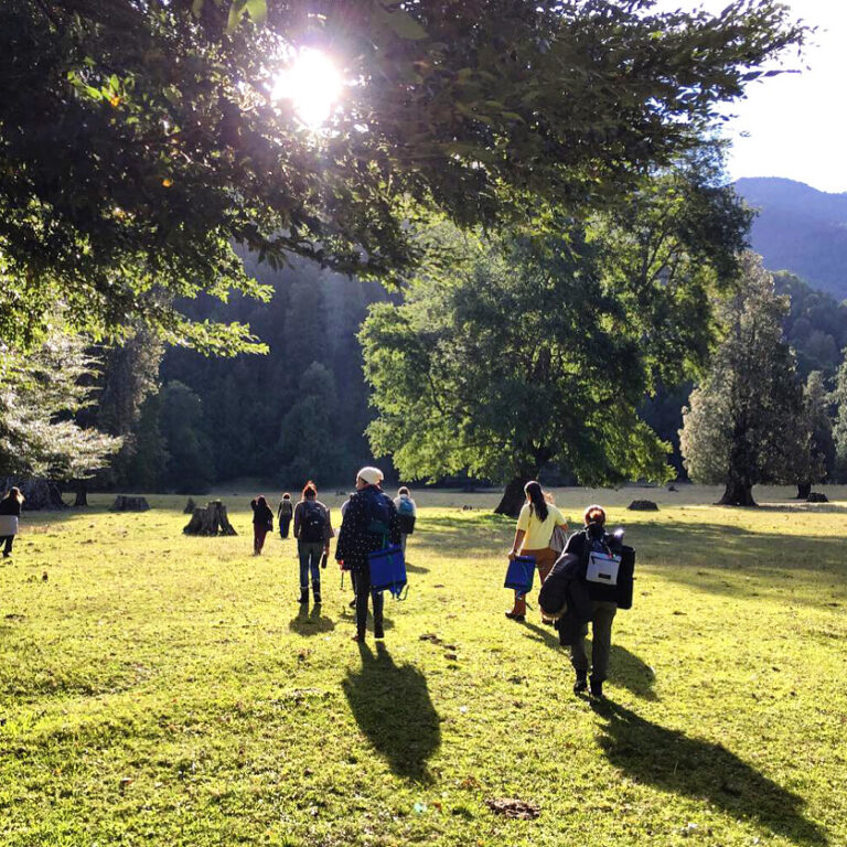 How Can Biophilia Help Us in Our Daily Lives? - Association of Nature & Forest Therapy