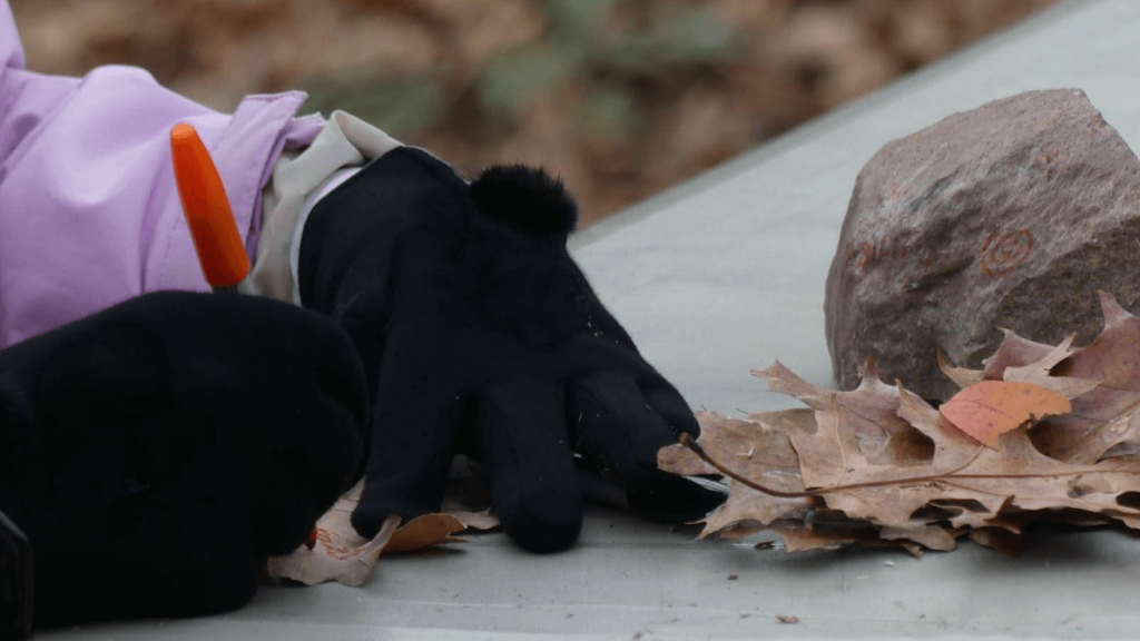 ANFT Blog Banner 3 - Association of Nature & Forest Therapy