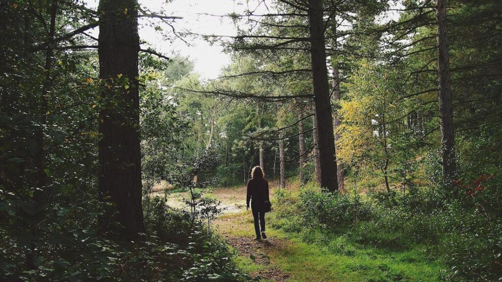 Improving Health in Partnership with Nature 0 - Association of Nature & Forest Therapy