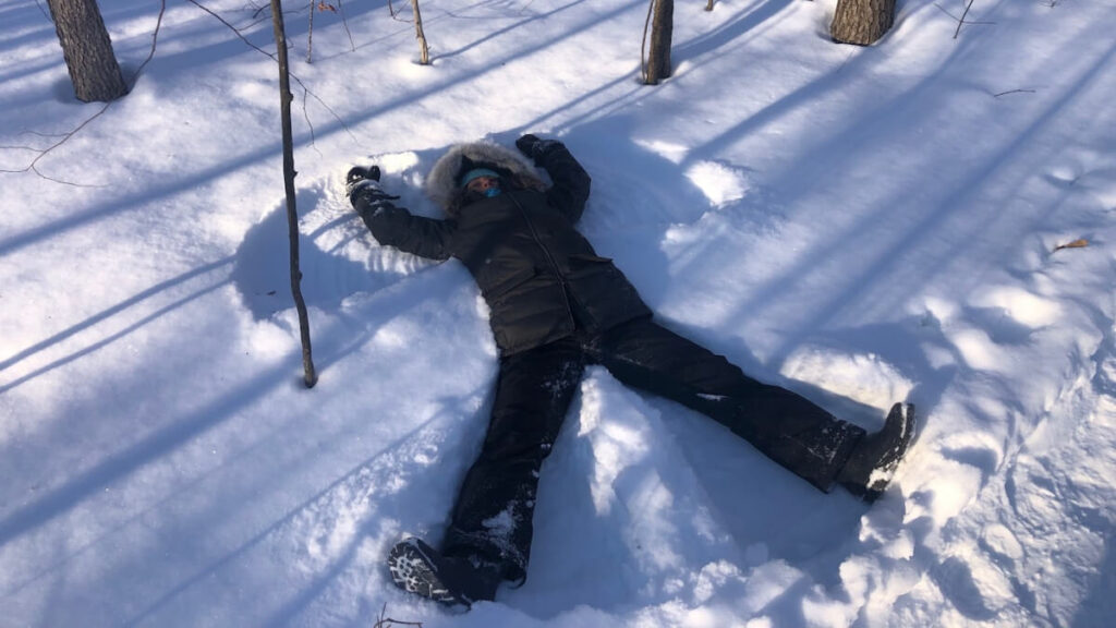 Top Ten Reasons Why to Go on a Forest Therapy Walk in Winter 0 - Association of Nature & Forest Therapy