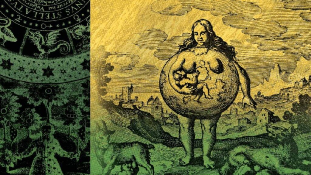 Gaia Alchemy 0 - Association of Nature & Forest Therapy