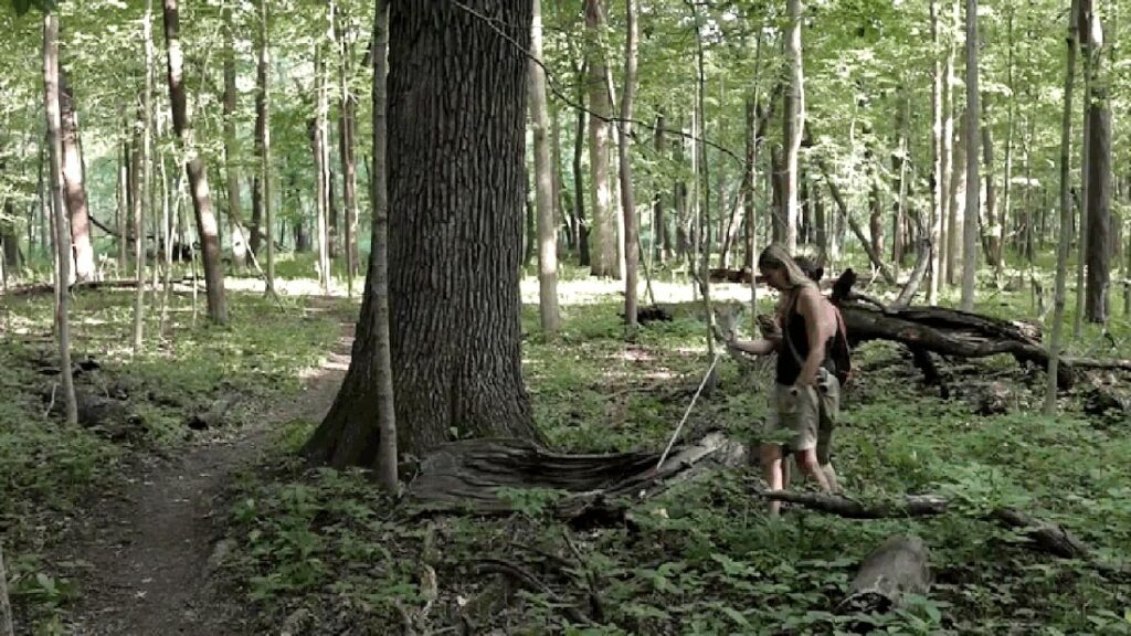 Exploring The Forest through Protactile the DeafBlind Way 0 - Association of Nature & Forest Therapy