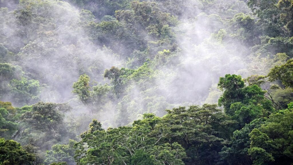 Finding Connection at 1 200 Feet 0 - Association of Nature & Forest Therapy
