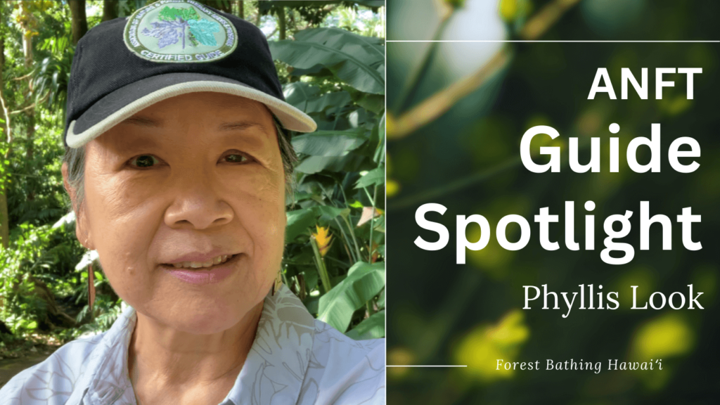 Phyllis Look Guide Spotlight - Association of Nature & Forest Therapy