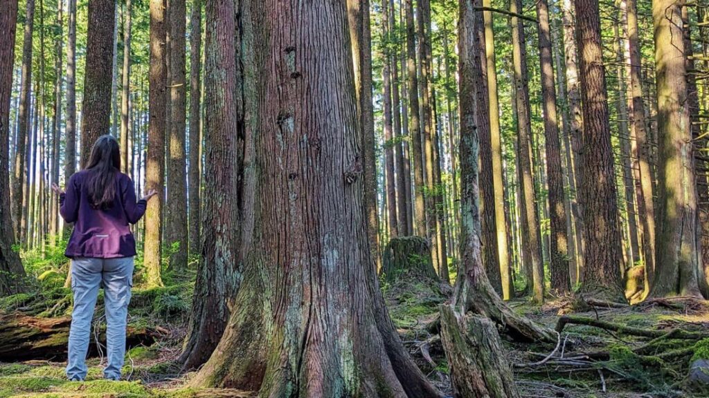 At Home in my Body, at Home on the Earth - Association of Nature & Forest Therapy
