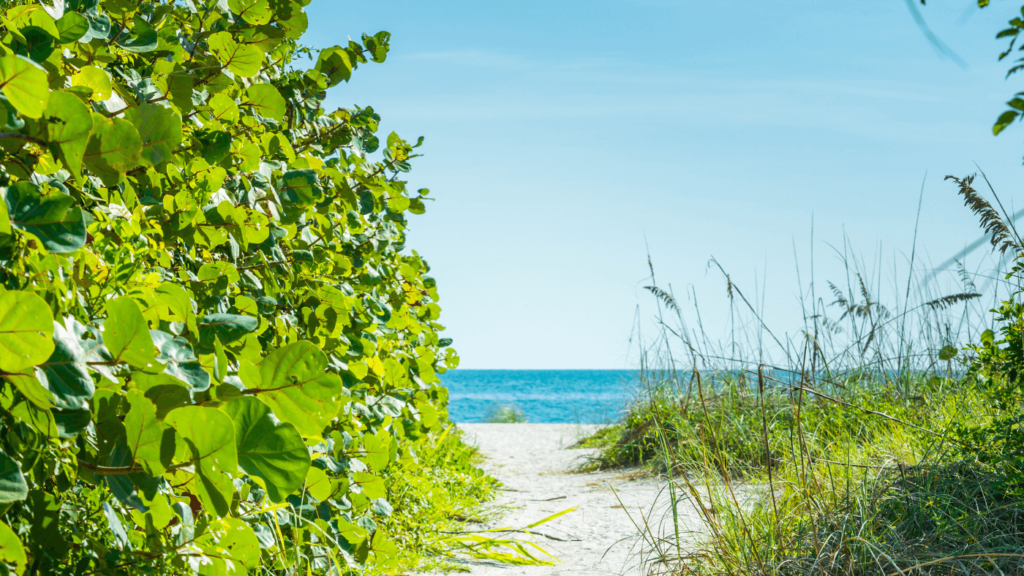 Anna Maria Island - Association of Nature & Forest Therapy