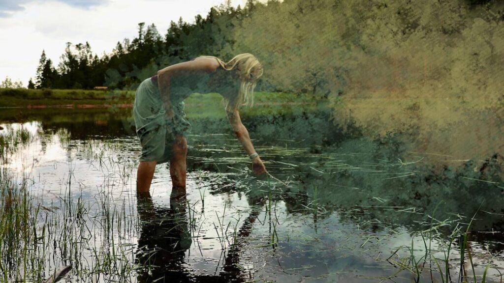 Access Intimacy in Nature Accessing Care through Direct Experiences 0 - Association of Nature & Forest Therapy