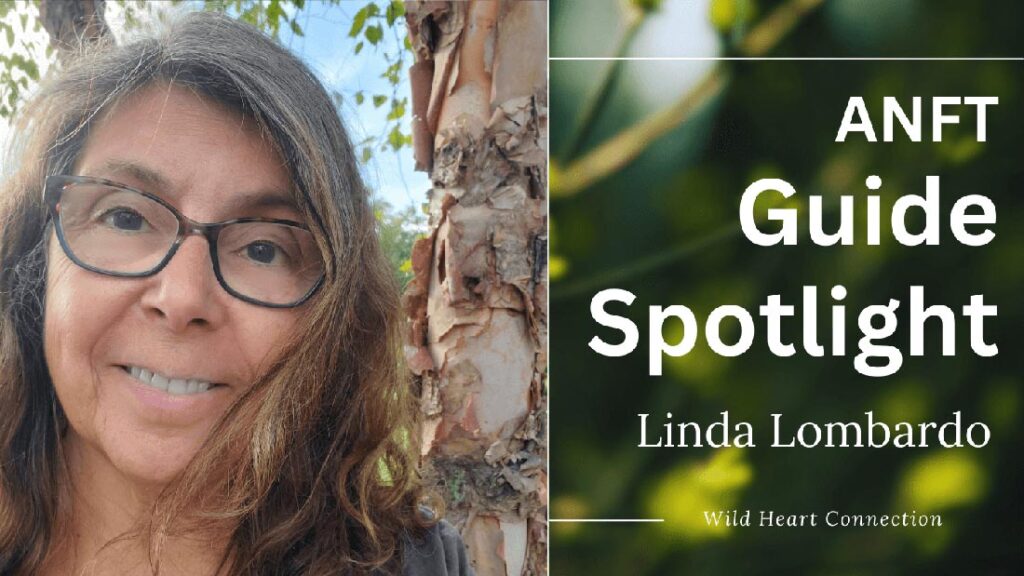 Guide Spotlight A Conversation with ANFT Guide Linda Lombardo - Association of Nature & Forest Therapy
