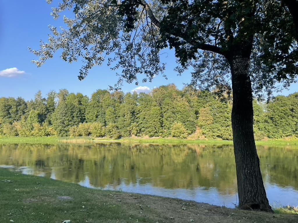Nature And Forest Therapy - Association of Nature & Forest Therapy
