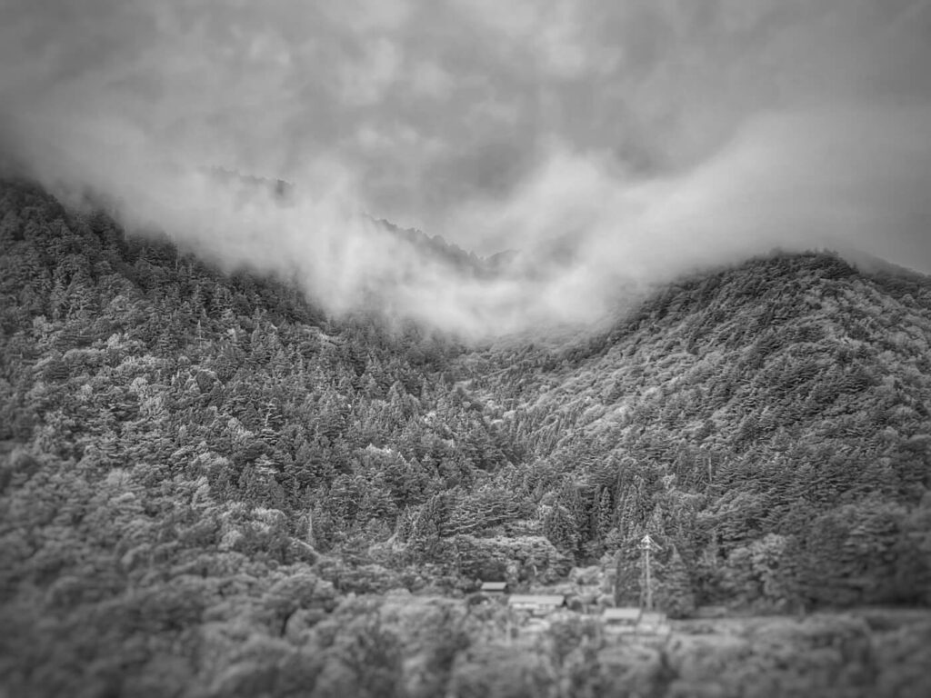 shinrin yoku Akasawa - Association of Nature & Forest Therapy