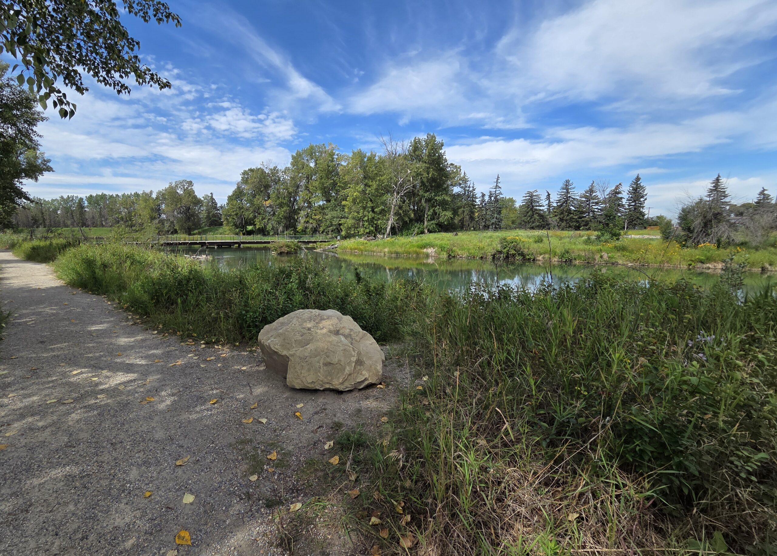 A forest bathing trail beside calm water in Calgary, Canada
