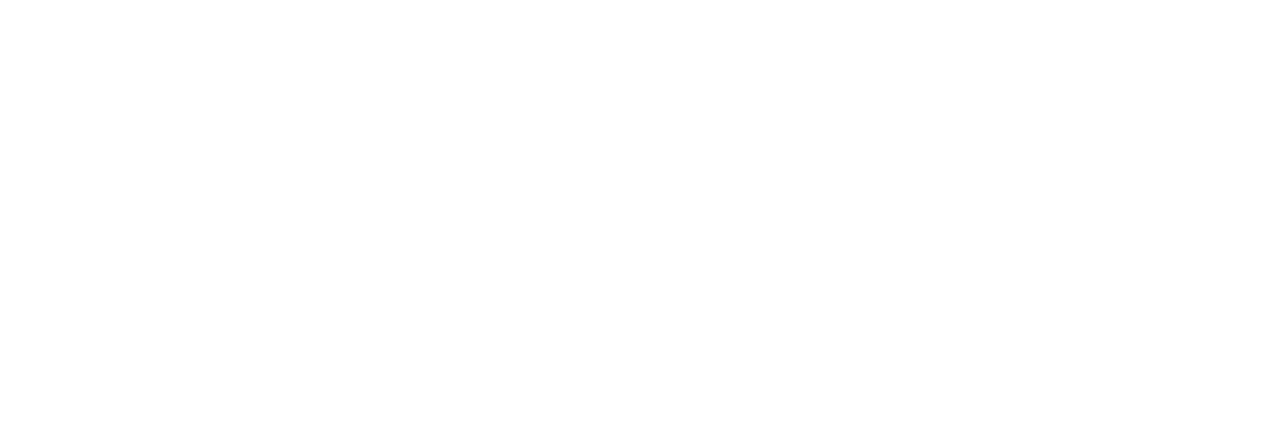 ANFT ASSOCIATION LOGO 08 medium weight all white elements - Association of Nature & Forest Therapy