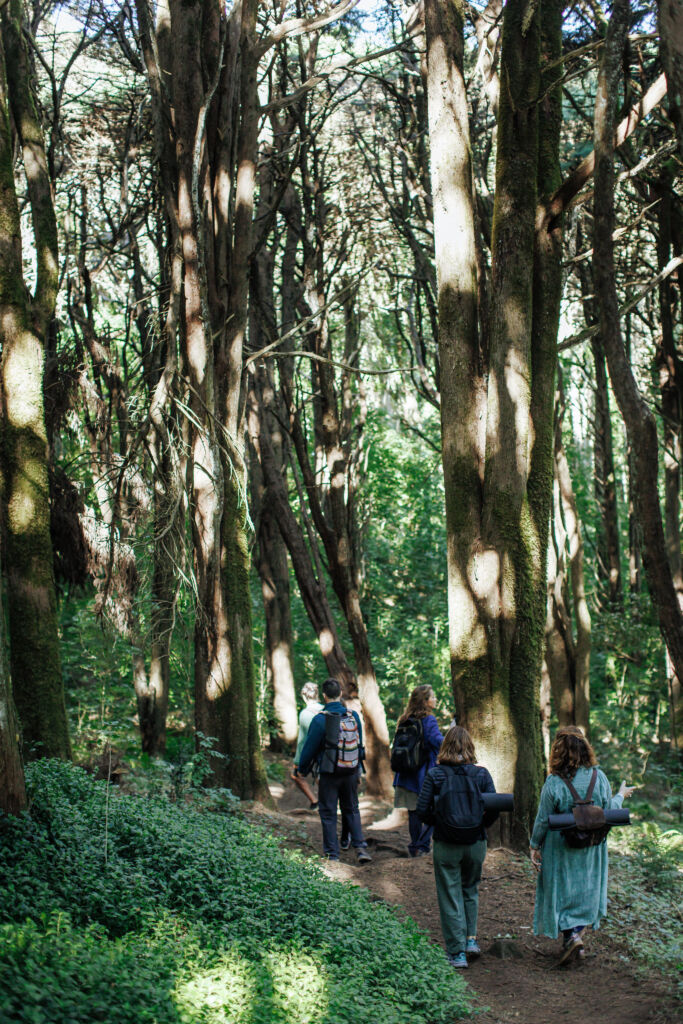 Nature And Forest Therapy - Association of Nature & Forest Therapy