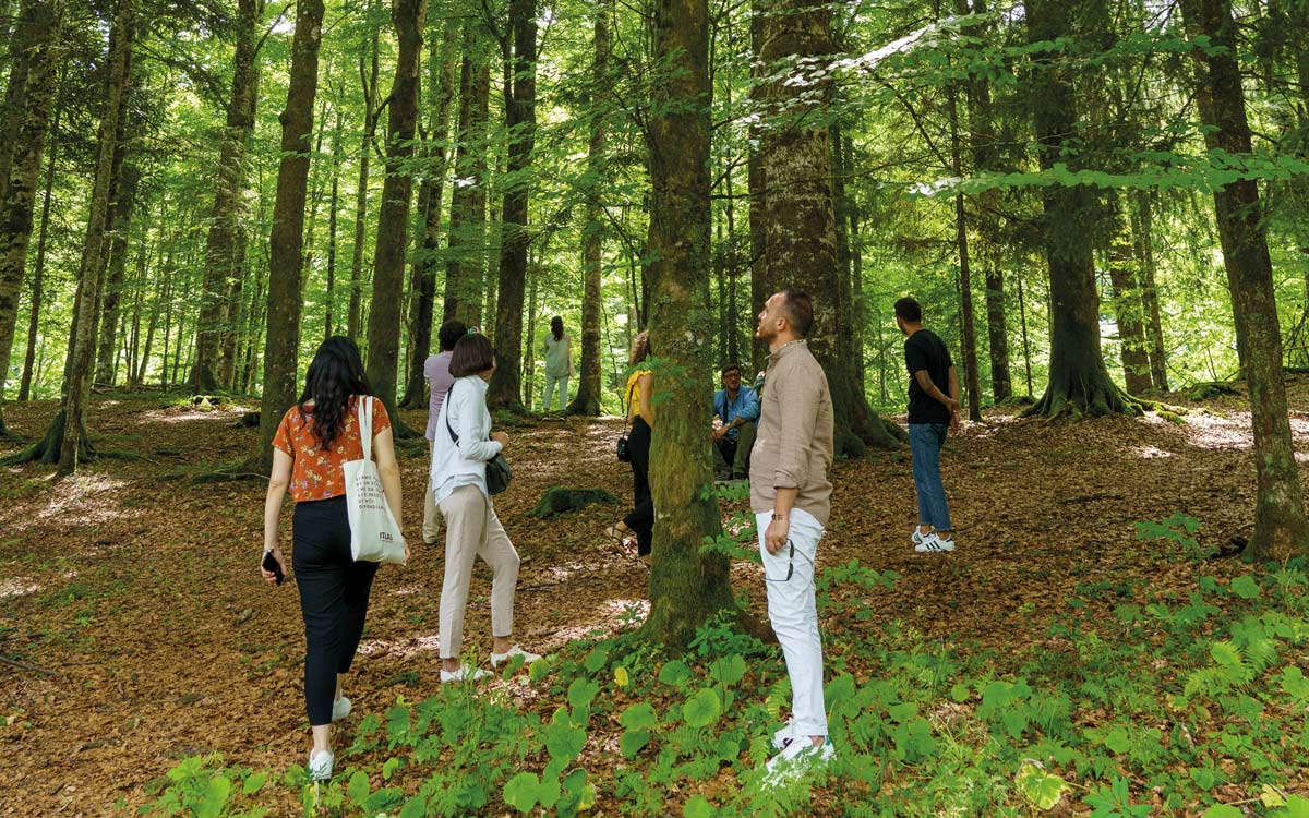 Copertina - Association of Nature & Forest Therapy