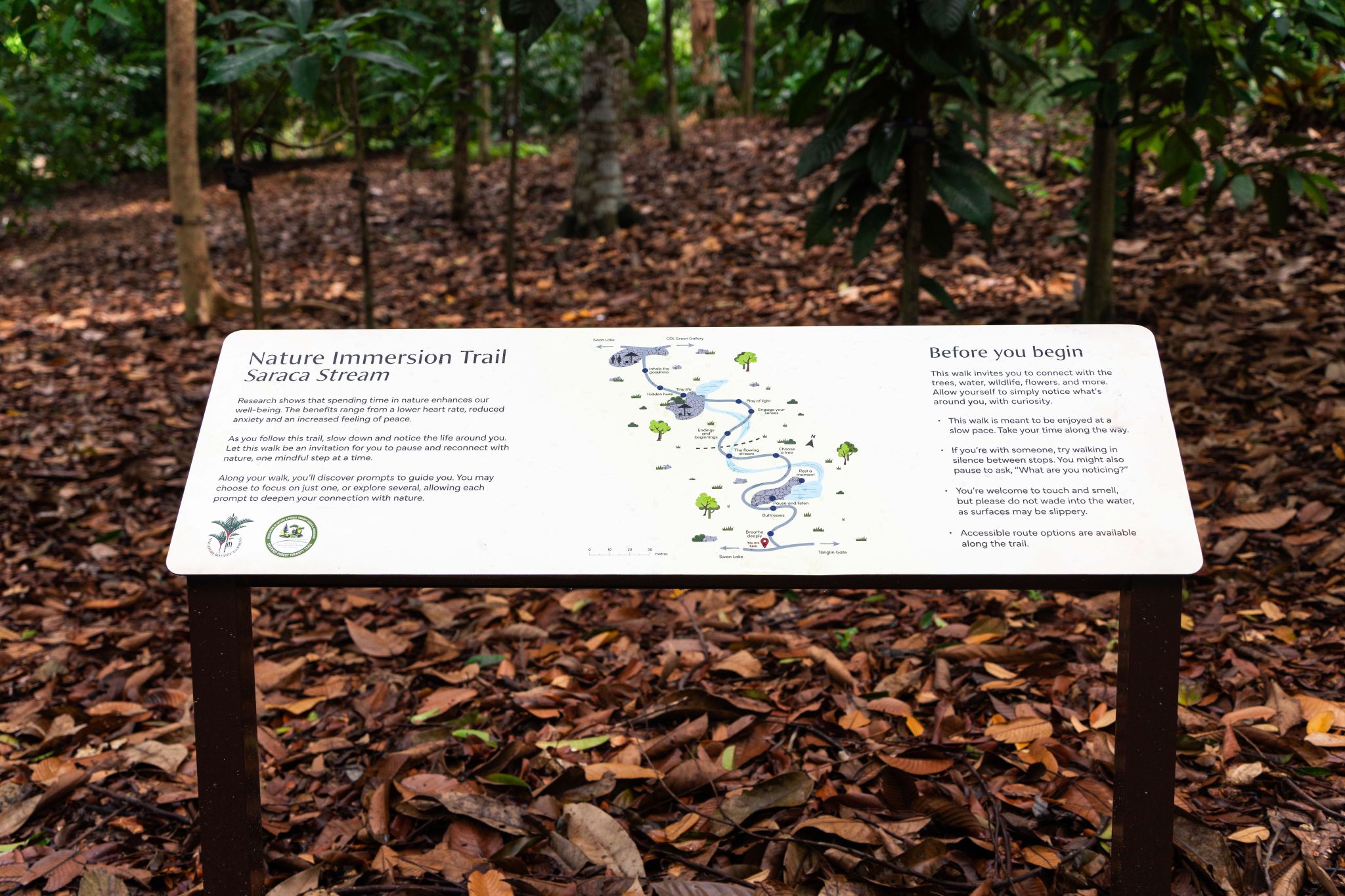 Nature And Forest Therapy - Association of Nature & Forest Therapy