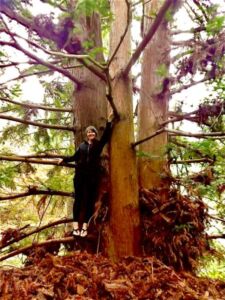 Christa Hebal - Association of Nature & Forest Therapy