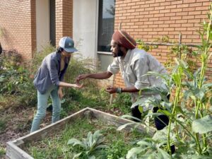 Tree Knows You: Forest Therapy with Hsuan - Association of Nature & Forest Therapy