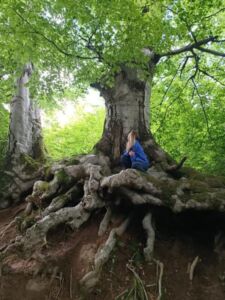 ARSENE ALINA-MARGARETA - Association of Nature & Forest Therapy