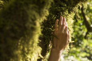 Marcela - Association of Nature & Forest Therapy