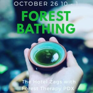 Forest Therapy PDX Mother Tree - Association of Nature & Forest Therapy