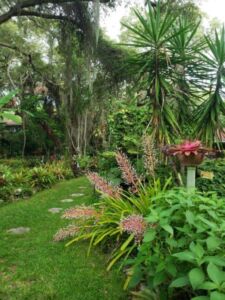 Donna Mansbart - Association of Nature & Forest Therapy
