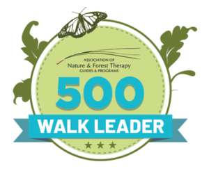 500 Walk Leader Badge 1 300x246 1 - Association of Nature & Forest Therapy