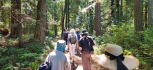 Shin Mei Spiritual Centre - Association of Nature & Forest Therapy