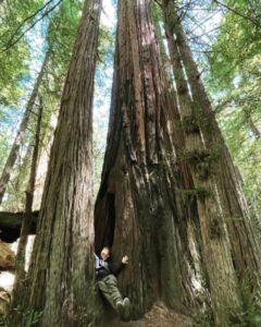 Holly Jo Walters - Association of Nature & Forest Therapy