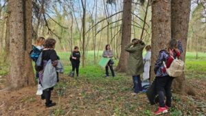ARSENE ALINA-MARGARETA - Association of Nature & Forest Therapy