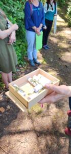 Shin Mei Spiritual Centre - Association of Nature & Forest Therapy
