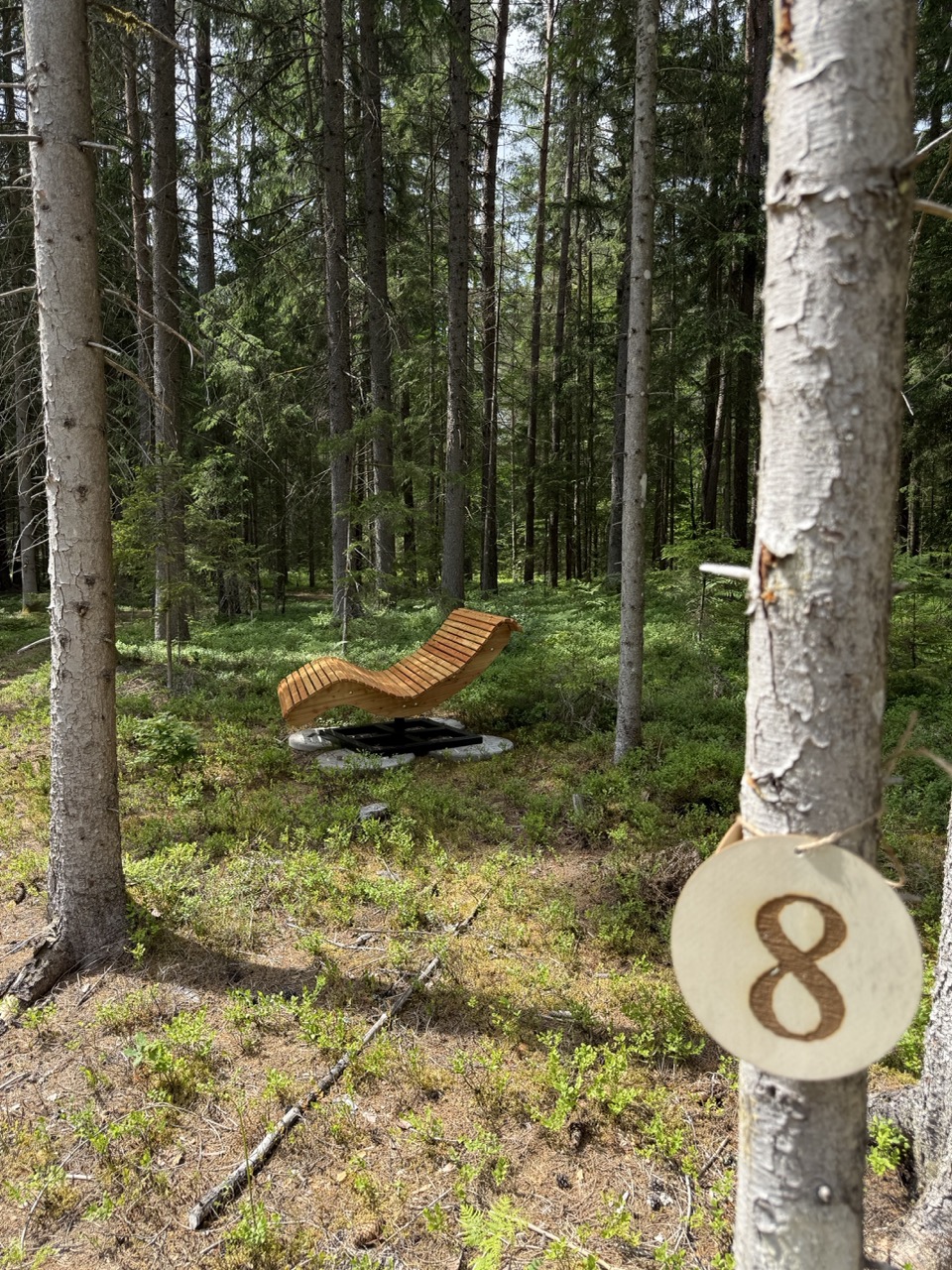 6 ForestRetreatTrail Skylounger Spot 7 - Association of Nature & Forest Therapy