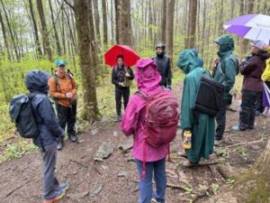 Debby Singleton - Association of Nature & Forest Therapy