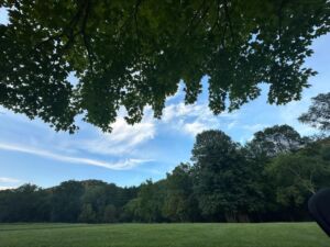 8.6.24 Sparta BH 6 - Association of Nature & Forest Therapy