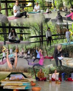 Raúl Palma - Association of Nature & Forest Therapy