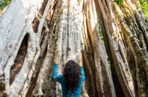 Marcela - Association of Nature & Forest Therapy