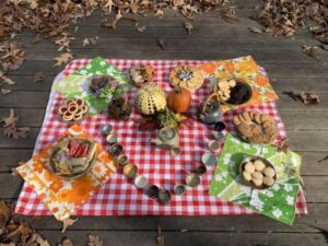 Debby Singleton - Association of Nature & Forest Therapy