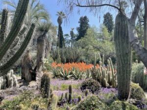 Debra Wilbur - Association of Nature & Forest Therapy
