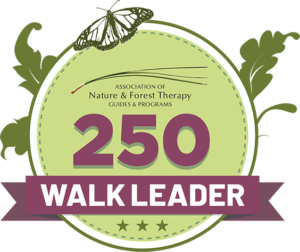 ANFT BADGE 250 Walk Achievement 150ppi 300x252 1 - Association of Nature & Forest Therapy