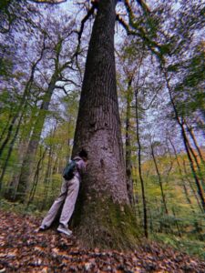 ANFT bio pic 2 - Association of Nature & Forest Therapy