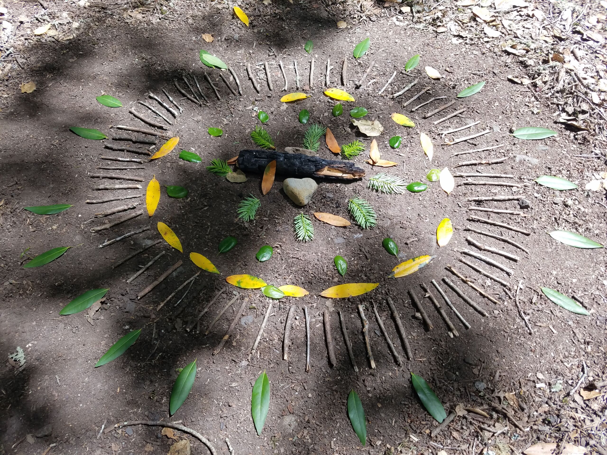 Academy Applied FT - Association of Nature & Forest Therapy