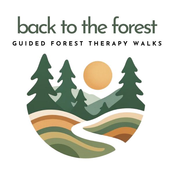 Back to the Forest