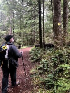 Bob walking - Association of Nature & Forest Therapy