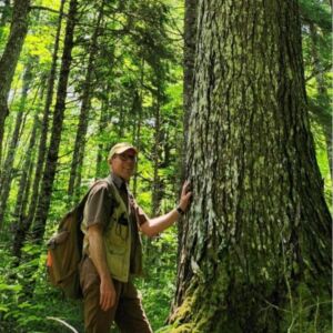 Branches of Serenity Forest Immersion - Association of Nature & Forest Therapy