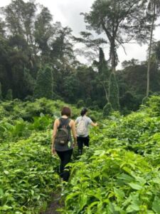 Bukit Brown - Association of Nature & Forest Therapy
