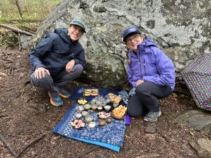 Debby Singleton - Association of Nature & Forest Therapy