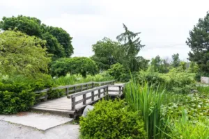Centennial Park Toronto 3 - Association of Nature & Forest Therapy