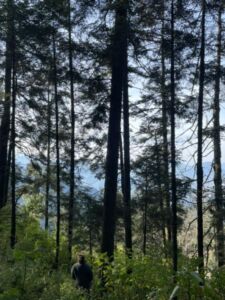 Rocio Rodriguez - Association of Nature & Forest Therapy