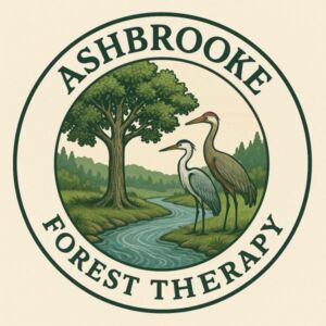 AshBrooke Forest Therapy - Association of Nature & Forest Therapy