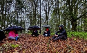 Raúl Palma - Association of Nature & Forest Therapy