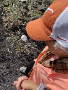 Rocio Rodriguez - Association of Nature & Forest Therapy